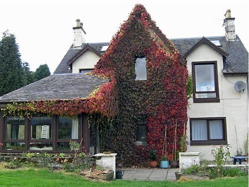Achnabobane Farmhouse سبين بريدج المظهر الخارجي الصورة